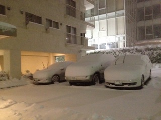 20140209-2.JPG